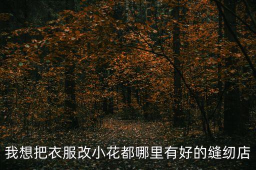 我想把衣服改小花都哪里有好的縫紉店