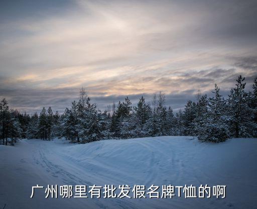 廣州仿牌衣服哪里拿貨，廣州哪里有批發假名牌T恤的啊