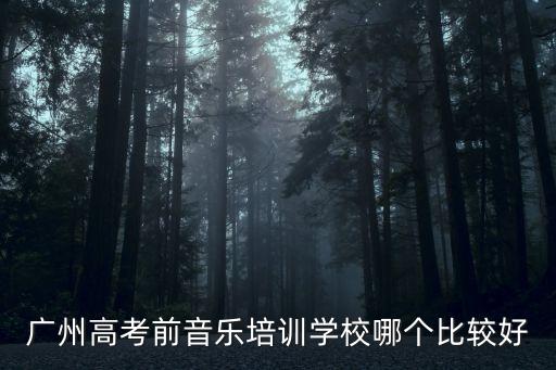 廣州高考前音樂培訓學校哪個比較好