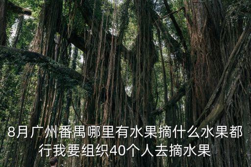 8月廣州番禺哪里有水果摘什么水果都行我要組織40個人去摘水果
