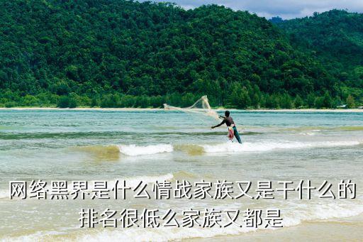 情戰(zhàn)家族，情戰(zhàn)家族是什么