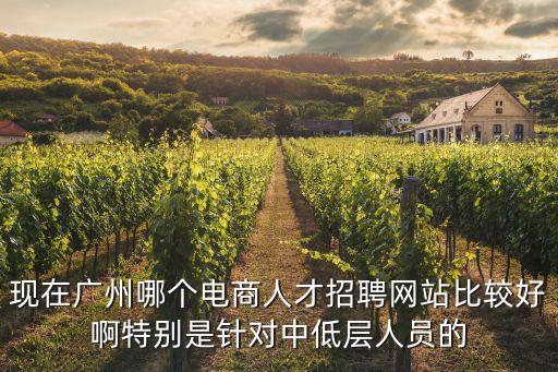 現在廣州哪個電商人才招聘網站比較好啊特別是針對中低層人員的
