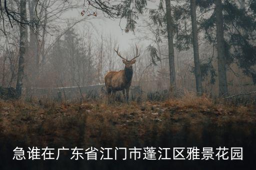 急誰在廣東省江門市蓬江區雅景花園