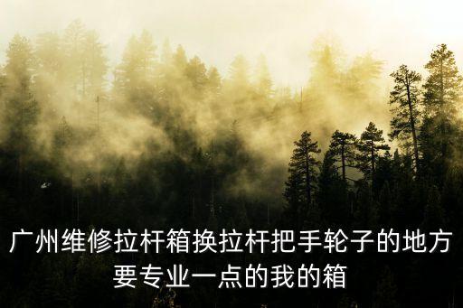 廣州維修拉桿箱換拉桿把手輪子的地方要專業(yè)一點的我的箱