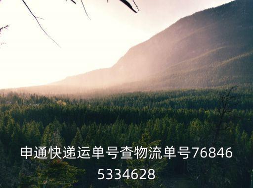 申通快遞運(yùn)單號(hào)查物流單號(hào)768465334628