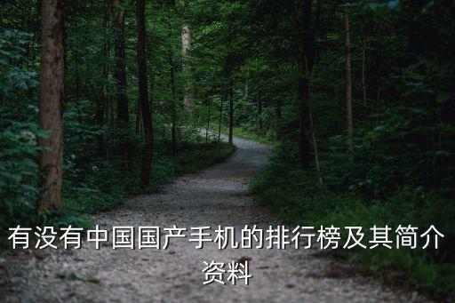有沒有中國國產手機的排行榜及其簡介資料