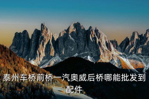 泰州車橋前橋一汽奧威后橋哪能批發到配件