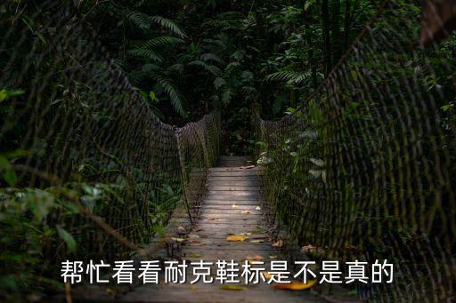 幫忙看看耐克鞋標(biāo)是不是真的