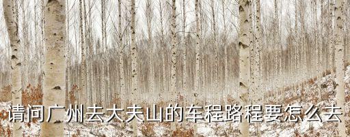 廣州華師到大夫山怎么走，從廣州去大夫山坐什么交通工具最快怎么走如果是從芳村出發呢