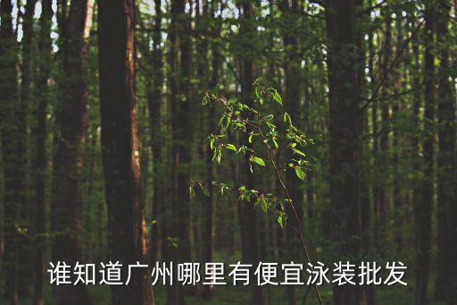 誰(shuí)知道廣州哪里有便宜泳裝批發(fā)