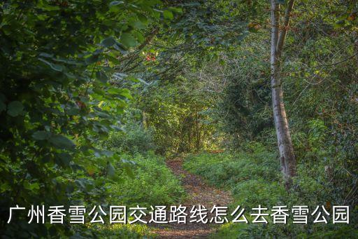 經(jīng)過廣州香雪的公交車，廣州香雪制藥坐哪路公交車