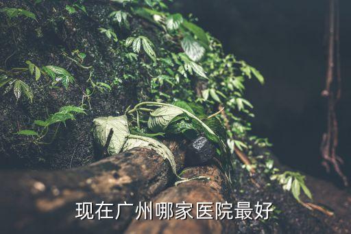 廣東排名前十的醫院分布在廣州，廣州醫院綜合排名