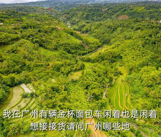 廣州自帶面包車和司機找貨，請問我在廣州剛買了一臺面包車想用來拉貨要去哪里找貨源