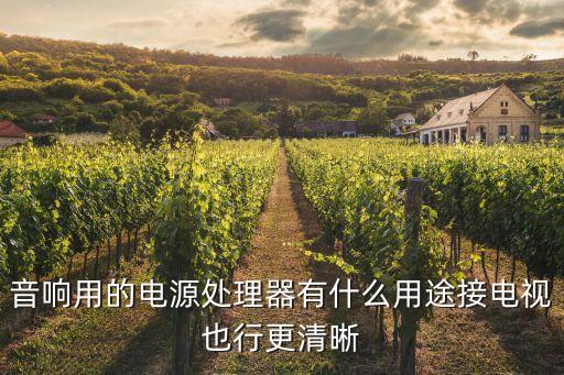 sine電源處理器廣州音響展，西門子家電贈(zèng)品的音箱電源糸幾伏的