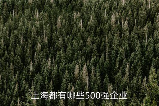 上海市納稅100強企業(yè)，上海都有哪些500強企業(yè)