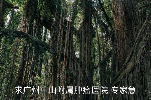 廣州蘇華龍醫生，廣州三元里軍區機關醫院婦科 怎么樣呀有誰知道的最好是有經驗的