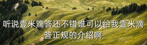 聽說壹米滴答還不錯誰可以給我壹米滴答正規的介紹啊