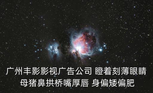 廣州豐影影視廣告公司 瞪著刻薄眼睛 母豬鼻拱橋嘴厚唇 身偏矮偏肥