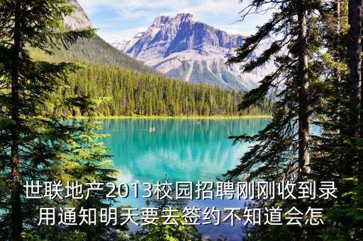 廣州世聯地產2013，世聯房地產的詳細資料以及世聯地產近幾年的情況