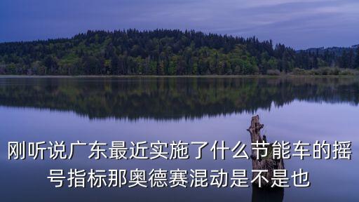 廣州新增節能指標，廣州節能指標中簽后要在什么時間內上牌