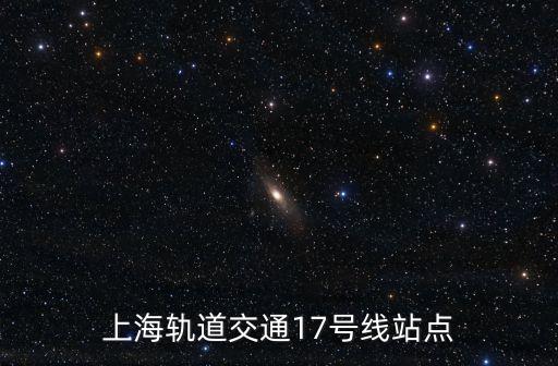 上海市蟠龍路17號(hào)線是哪一站，上海軌道交通17號(hào)線站點(diǎn)