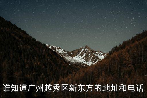 誰知道廣州越秀區新東方的地址和電話