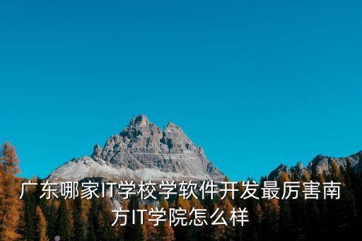 廣東哪家IT學校學軟件開發最厲害南方IT學院怎么樣