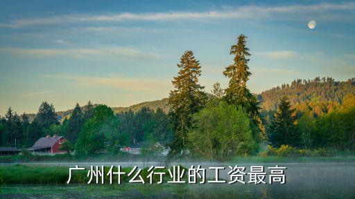 廣州什么行業的工資最高