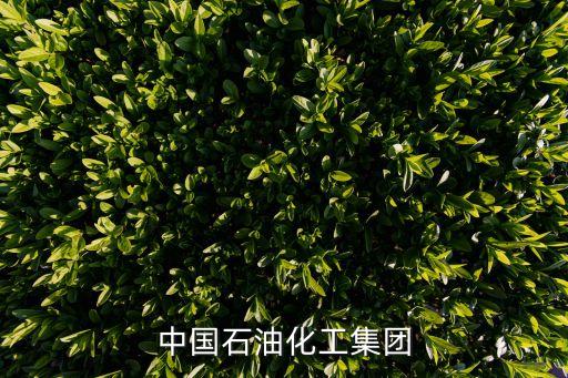 中國石油化工集團