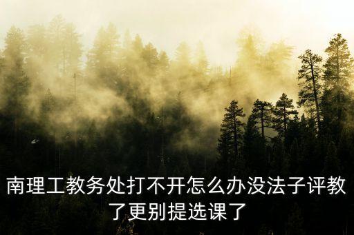 南理工教務處打不開怎么辦沒法子評教了更別提選課了