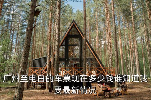 廣州至電白的車票現(xiàn)在多少錢誰知道我要最新情況