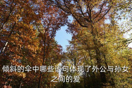 傾斜的傘，傾斜的傘中哪些語句體現(xiàn)了外公與孫女之間的愛