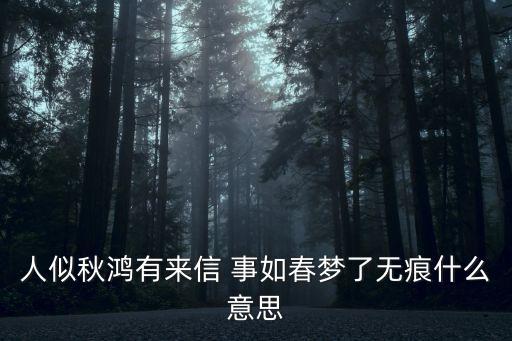 人似秋鴻有來信 事如春夢了無痕什么意思