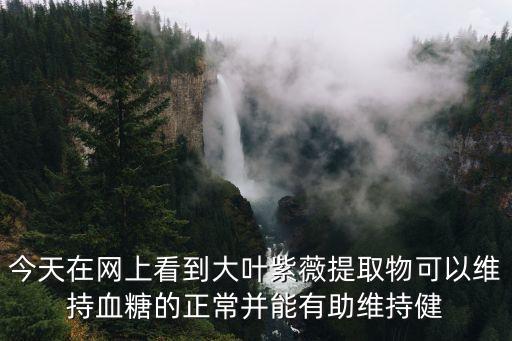 今天在網(wǎng)上看到大葉紫薇提取物可以維持血糖的正常并能有助維持健