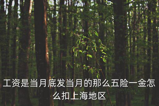 上海市扣五險一金，在上海稅前月薪4460扣除五險一金實際工資為多少