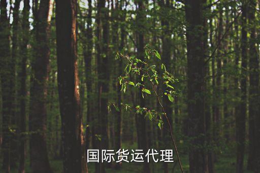 國際貨運(yùn)代理