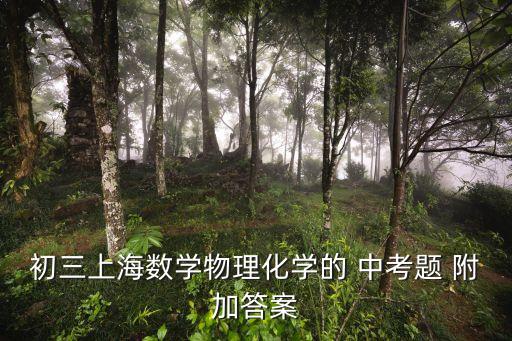初三上海數(shù)學(xué)物理化學(xué)的 中考題 附加答案