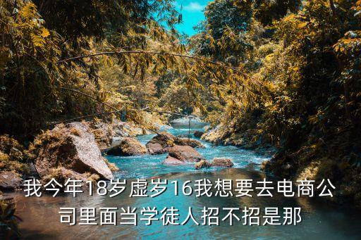 我今年18歲虛歲16我想要去電商公司里面當學徒人招不招是那