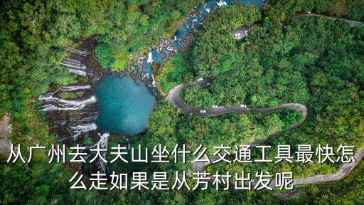 從廣州去大夫山坐什么交通工具最快怎么走如果是從芳村出發呢