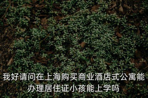 我好請問在上海購買商業酒店式公寓能辦理居住證小孩能上學嗎