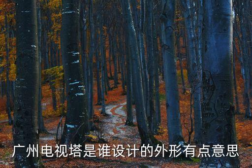 廣州電視塔是誰設計的外形有點意思