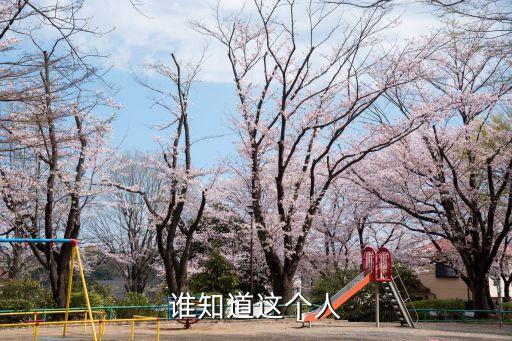 廣州東莞女孩千里來達州尋男網友，能租個女友回家過年嗎