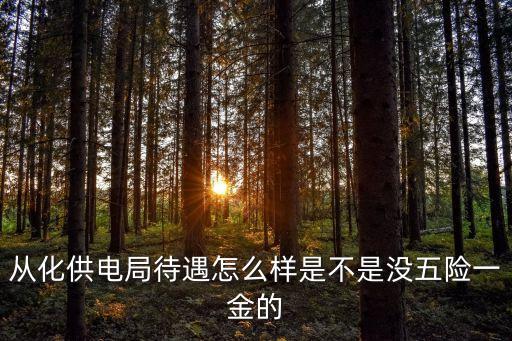 廣州供電所待遇怎么樣，廣東省內(nèi) 供電局普通員工工資多少