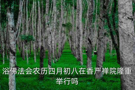 廣州大佛寺四月初八受五戒的時(shí)間，寺院受五戒日期