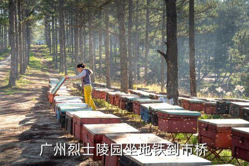 廣州嘉禾橋，嘉禾橋在華庭街嗎