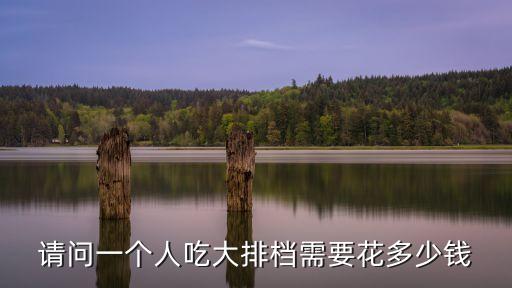 請問一個人吃大排檔需要花多少錢