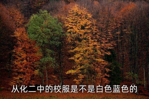 廣州從化二中2020校服，從化二中的校服是不是白色藍色的
