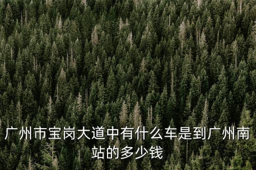 廣州市寶崗大道中有什么車是到廣州南站的多少錢
