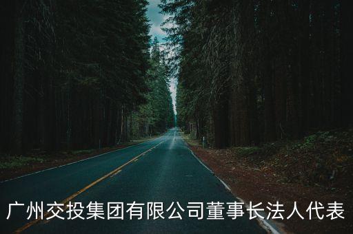廣州交投集團(tuán)簡(jiǎn)歷，廣州交投集團(tuán)有限公司董事長(zhǎng)法人代表