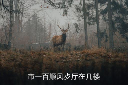 上海市一百順豐大酒店，南京東路新百貨順風(fēng)大酒店的電話號(hào)碼發(fā)過來(lái)